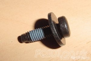 rearvalancescrew